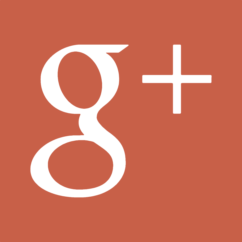 Google Plus icon